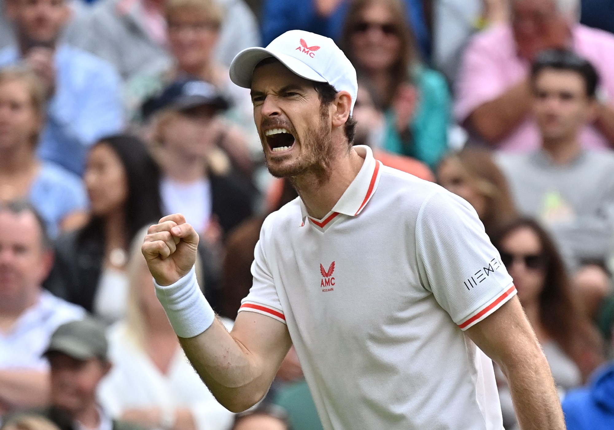Andy Murray celebrates.jpg