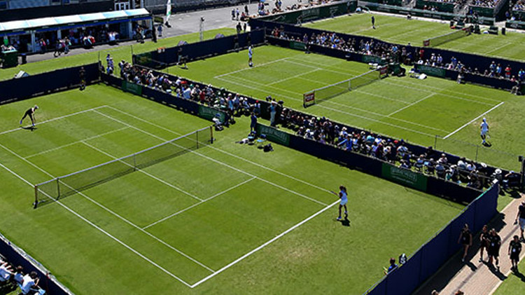 A bird's-eye view of three grass courts at Surbiton Racket & Fitness Club with matches in progress