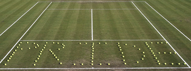 tennis ball pride